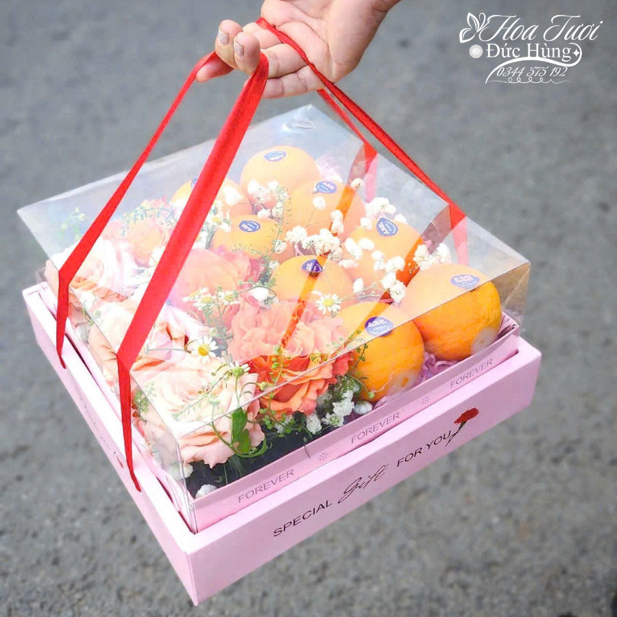 Hộp Quả Nhập Khẩu Xinh